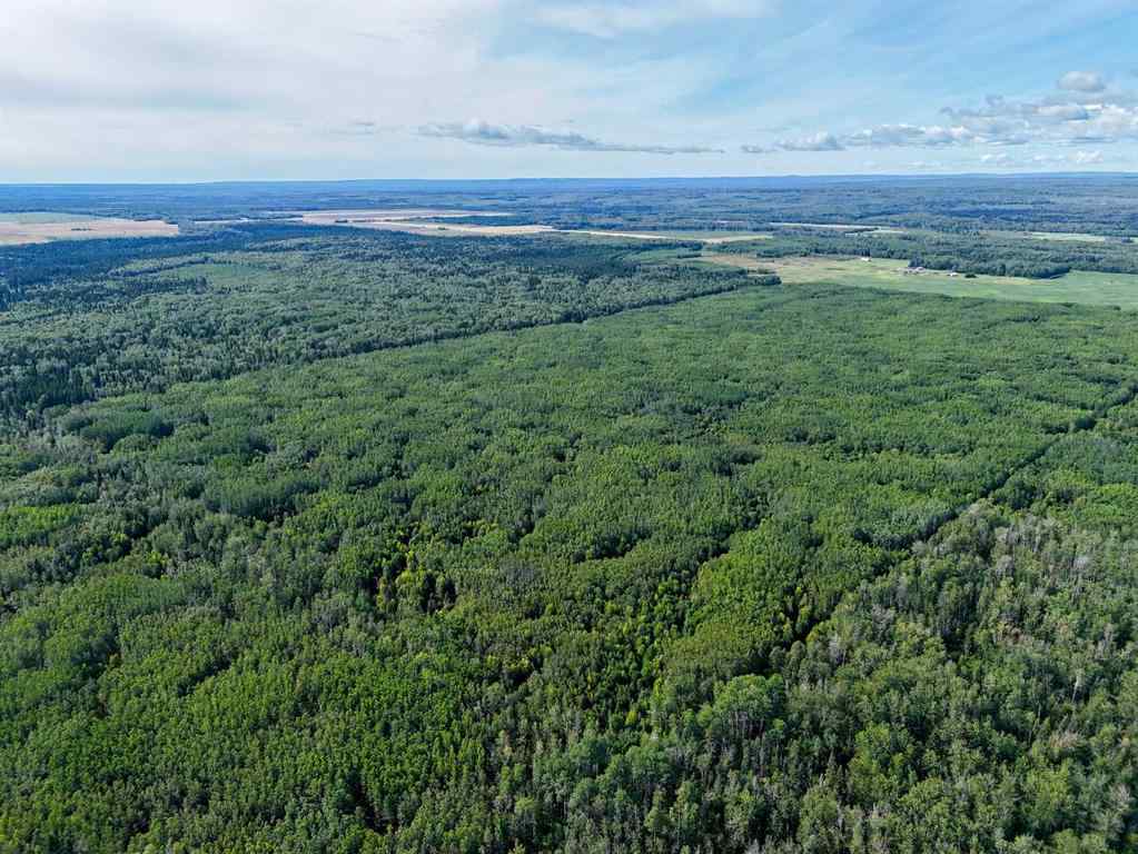 MLS® A2251527 - 993051 Range Road   in Keg River Rural Northern Lights, County of, Agri-Business