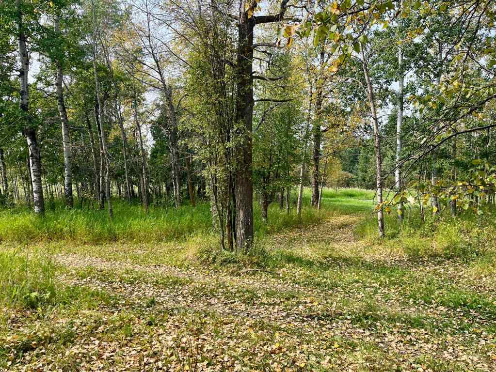 MLS® A2251640 - 381040 Range Road 4-5   in NONE Rural Clearwater County, Agri-Business