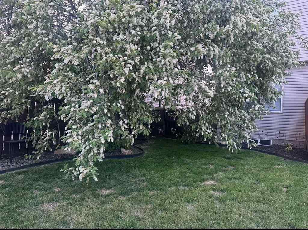 MLS® A2251684 - 47 Springs Crescent SE in Big Springs Airdrie, Residential