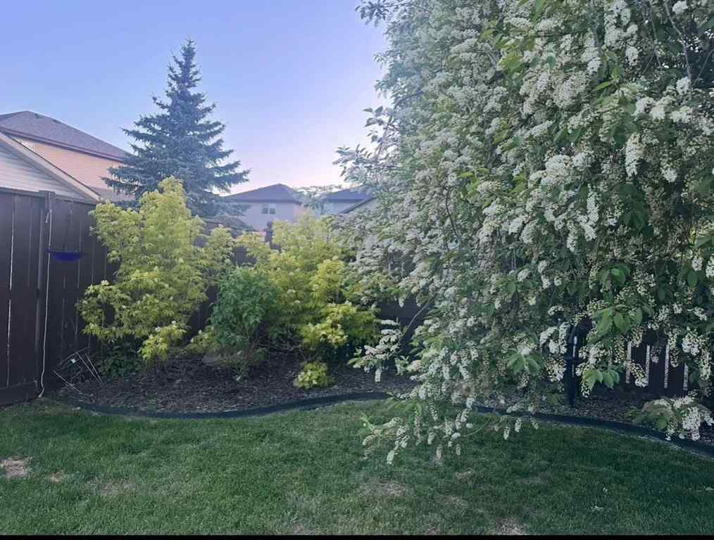 MLS® A2251684 - 47 Springs Crescent SE in Big Springs Airdrie, Residential