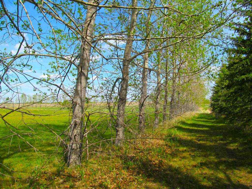 MLS® A2251685 - 275182 Glenmore Trail  in NONE Rural Rocky View County, Land