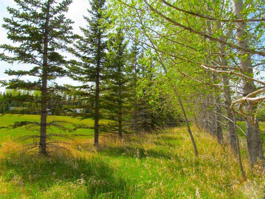 MLS® A2251685 - 275182 Glenmore Trail  in NONE Rural Rocky View County, Land