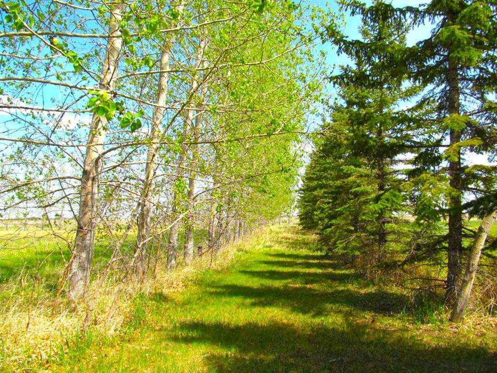 MLS® A2251685 - 275182 Glenmore Trail  in NONE Rural Rocky View County, Land