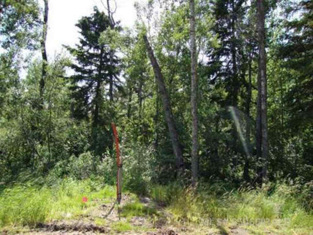 MLS® A2251730 - Lot 1 Blk 5 LAKESIDE Drive  in NONE Perch Lake, Land