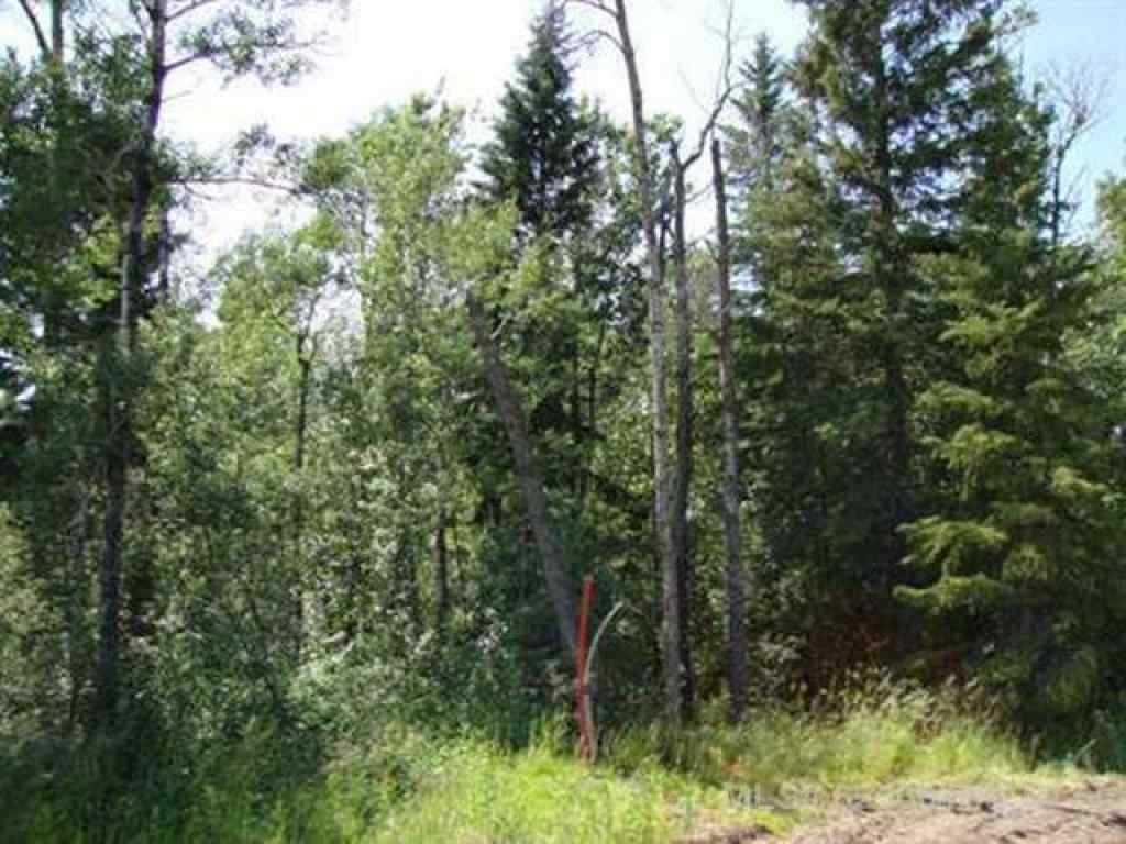 MLS® A2251730 - Lot 1 Blk 5 LAKESIDE Drive  in NONE Perch Lake, Land