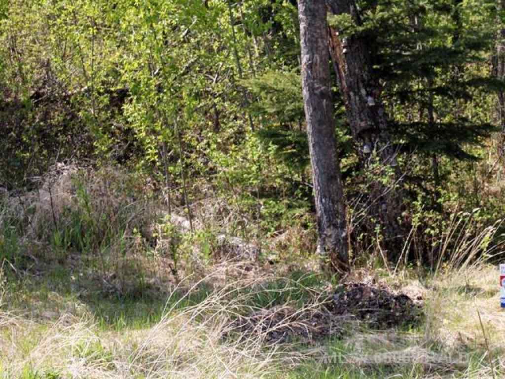 MLS® A2251733 - Lot 2 Blk 5 LAKESIDE Drive  in NONE Perch Lake, Land