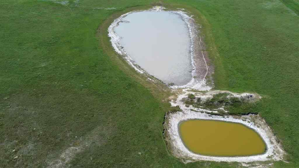 MLS® A2251737 - Unit #124041 280 Range Road Road  in NONE Rural Willow Creek No. 26, M.D. of, Agri-Business