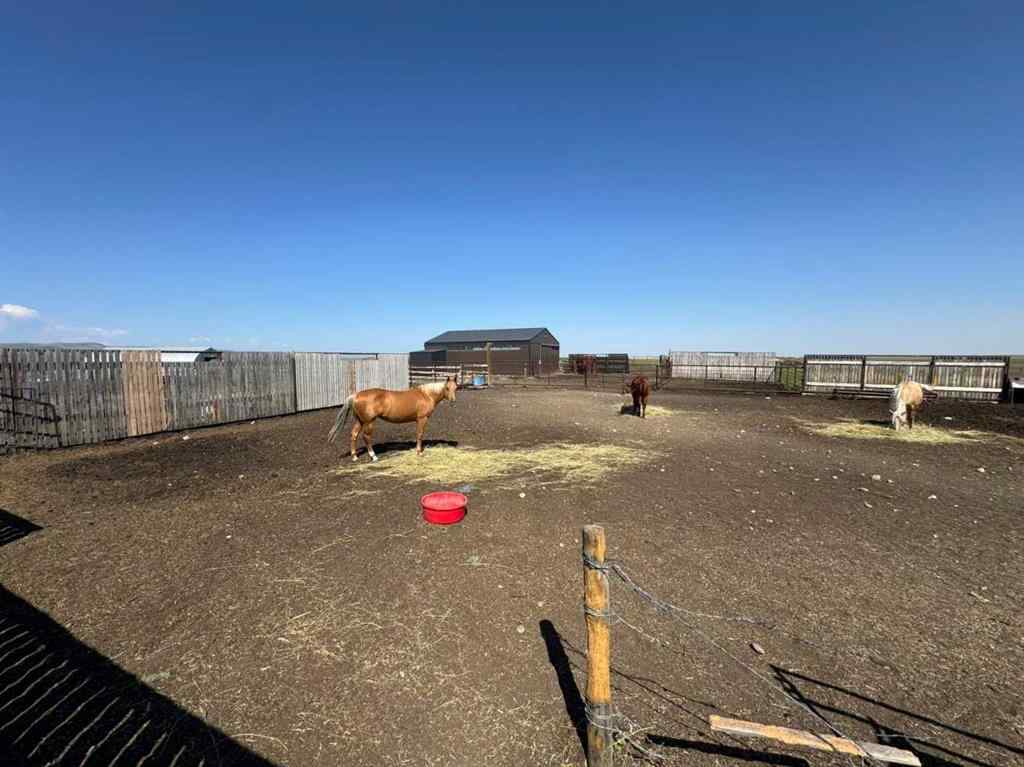 MLS® A2251737 - Unit #124041 280 Range Road Road  in NONE Rural Willow Creek No. 26, M.D. of, Agri-Business