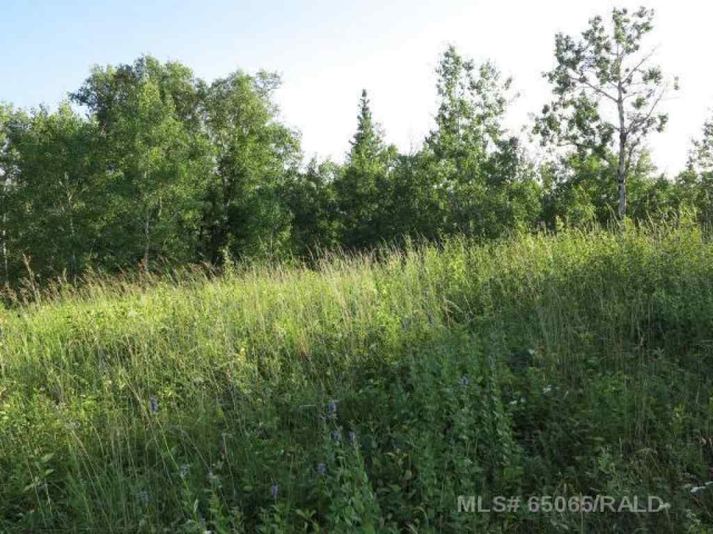 MLS® A2251741 - Lot 12 Blk 1 LAKESIDE Drive  in NONE Perch Lake, Land