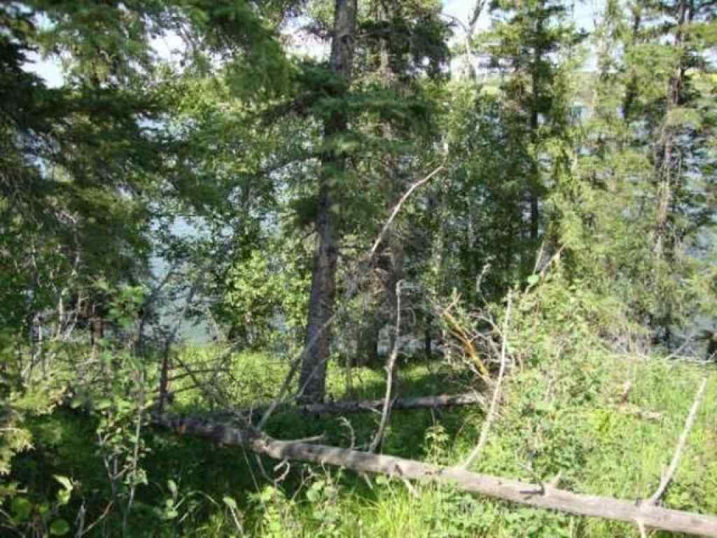 MLS® A2251741 - Lot 12 Blk 1 LAKESIDE Drive  in NONE Perch Lake, Land