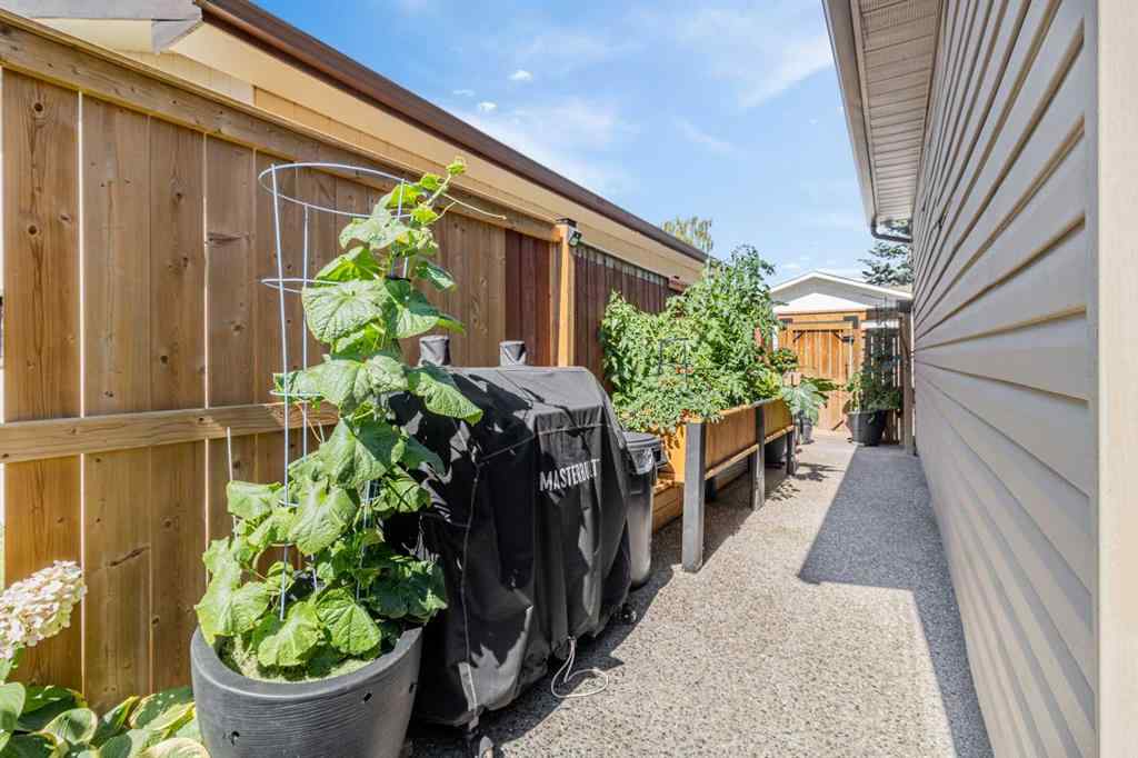 MLS® A2251784 - 4728 Rundlehorn Drive NE in Rundle Calgary, Residential