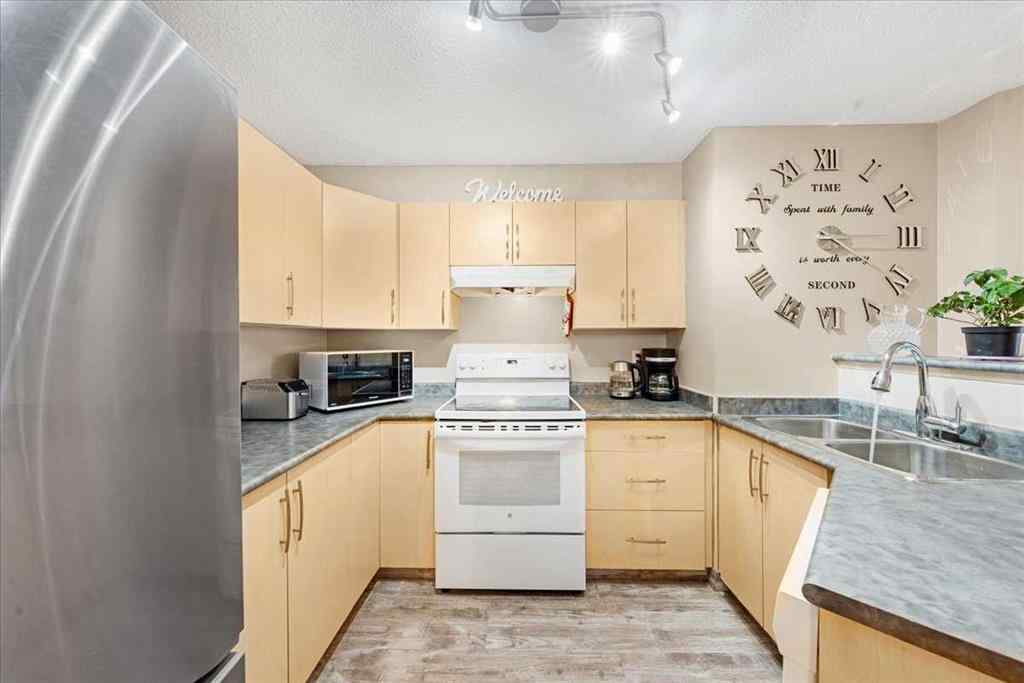 MLS® A2251815 - Unit #4214 4975 130 Avenue SE in McKenzie Towne Calgary, Residential