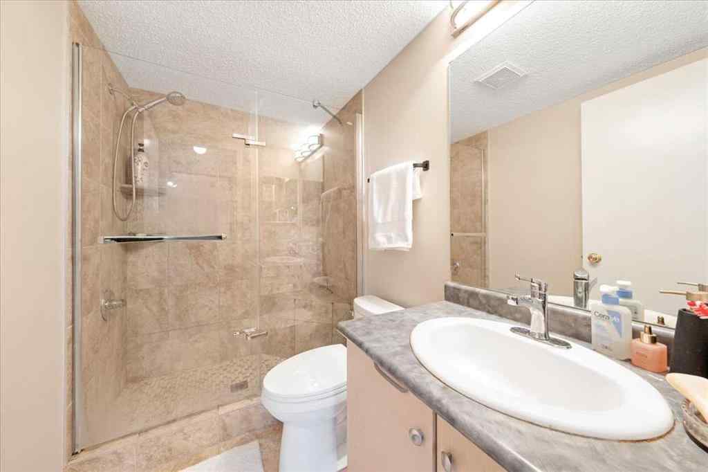 MLS® A2251815 - Unit #4214 4975 130 Avenue SE in McKenzie Towne Calgary, Residential