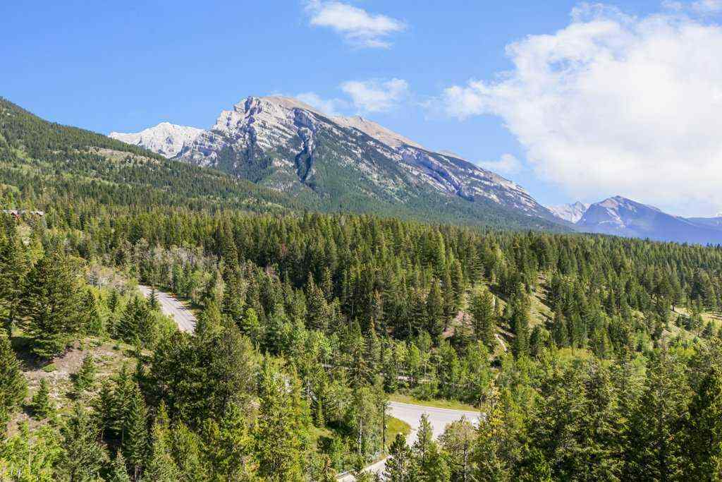 MLS® A2251831 - 24 Blue Grouse Ridge  in Silvertip Canmore, Residential