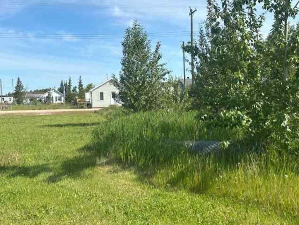 MLS® A2251850 - 5031 50 Avenue  in NONE Woking, Land