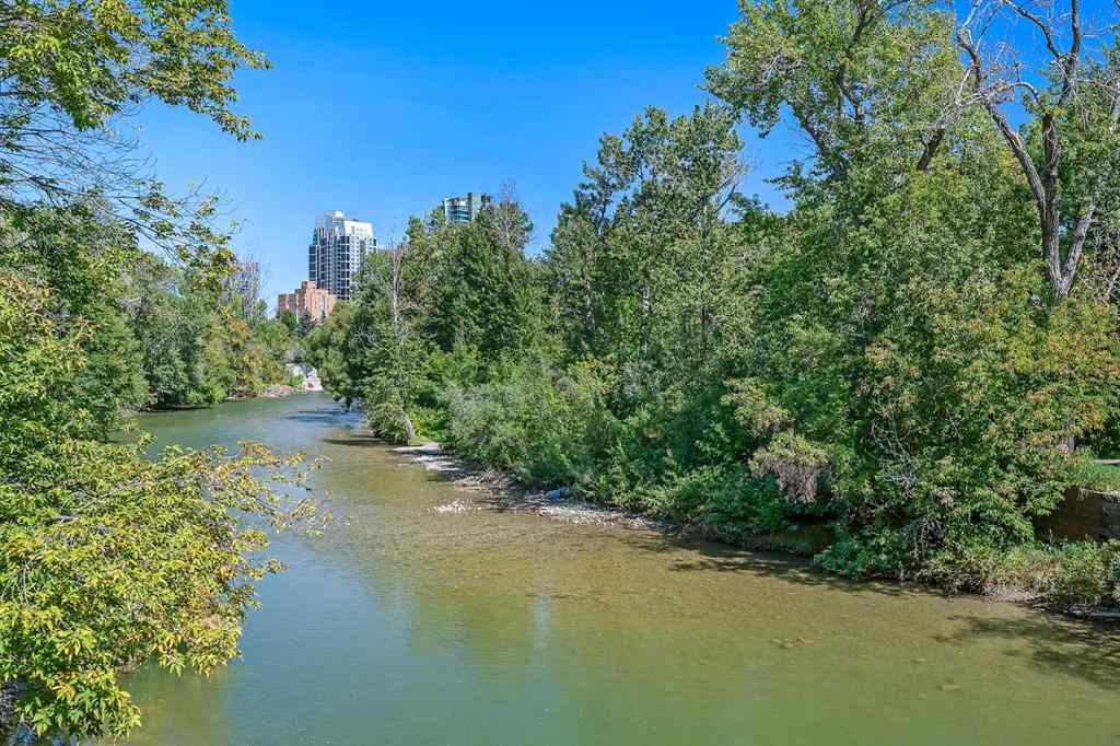 MLS® A2251865 - Unit #401 60 24 Avenue SW in Erlton Calgary, Residential