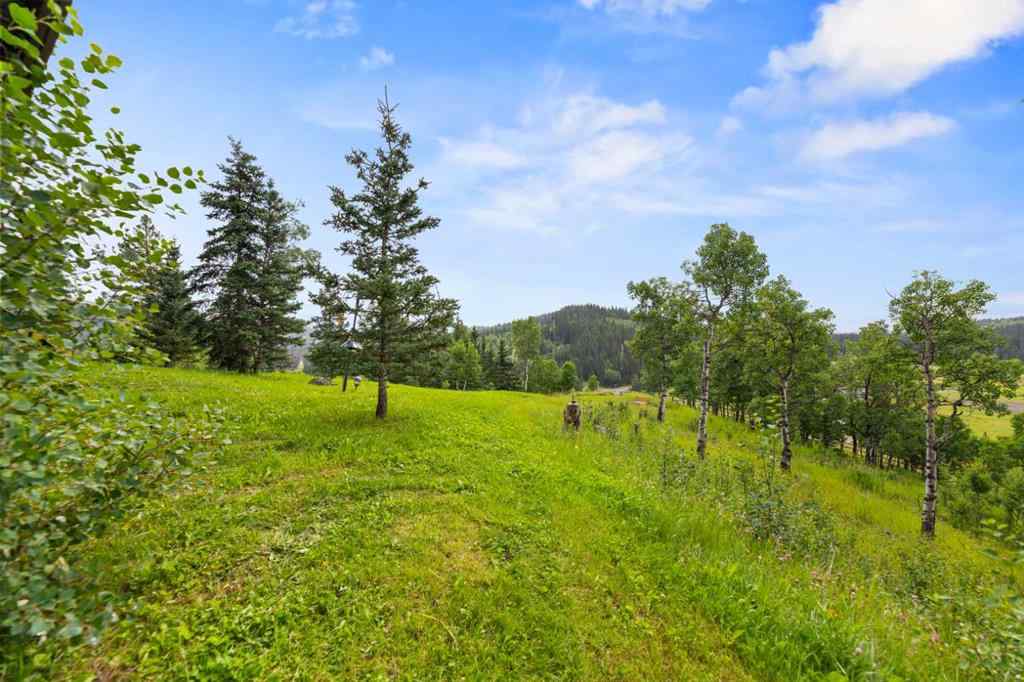 MLS® A2251872 - 11 Black Bear Lane  in Square Butte Rural Foothills County, Residential