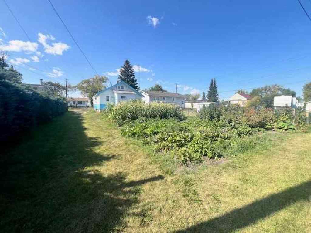 MLS® A2251878 - 4811 46 Avenue  in Forestburg Forestburg, Residential