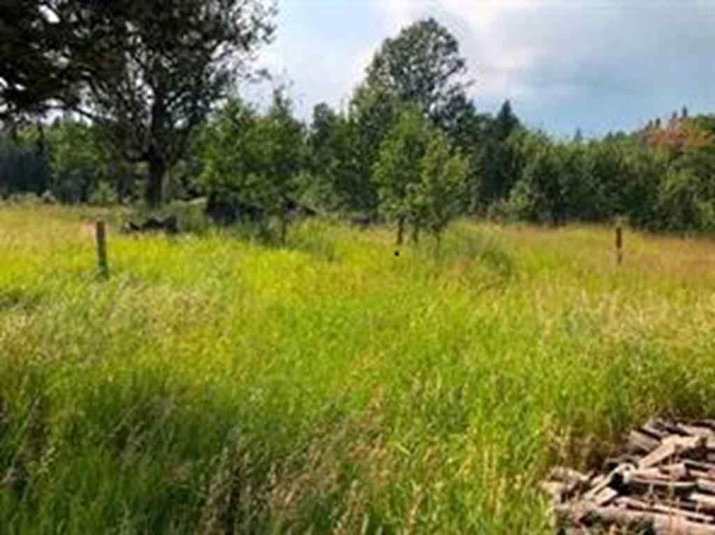 MLS® A2251885 - 345079 Range Road 6-5   in NONE Rural Clearwater County, Land