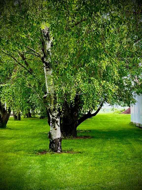 MLS® A2251888 - 207 Moon River Drive  in NONE Moon River Estates, Residential
