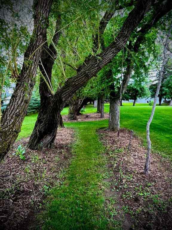 MLS® A2251888 - 207 Moon River Drive  in NONE Moon River Estates, Residential