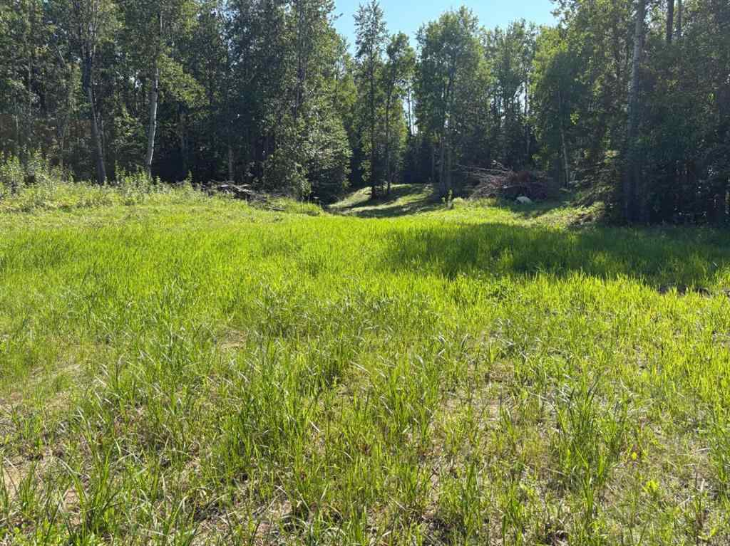 MLS® A2251980 - 62 Lakeview Heights  in NONE Canyon Creek, Land