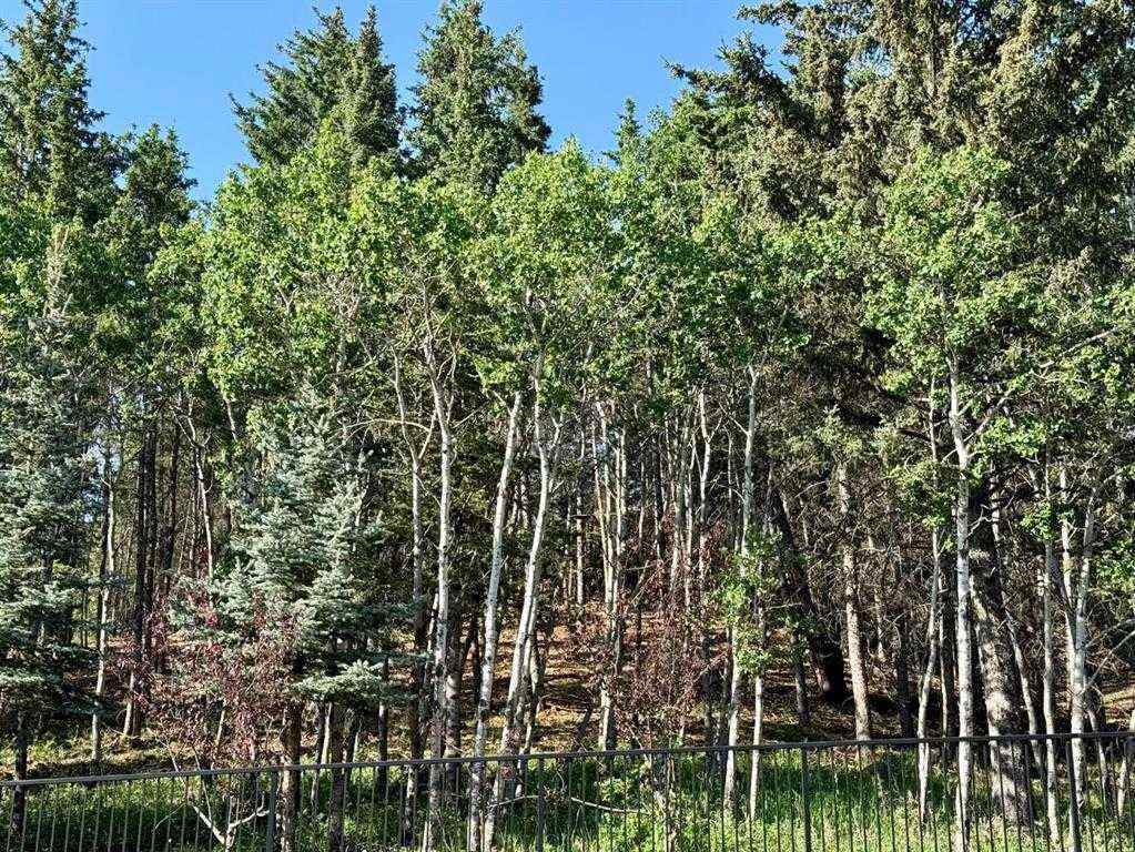 MLS® A2252019 - Unit #107 77 George Fox Trail  in Bow Meadows Cochrane, Residential