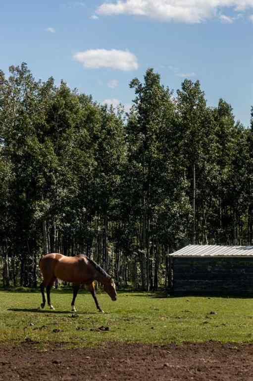 MLS® A2252043 - 162104 376 Street W in NONE Rural Foothills County, Residential