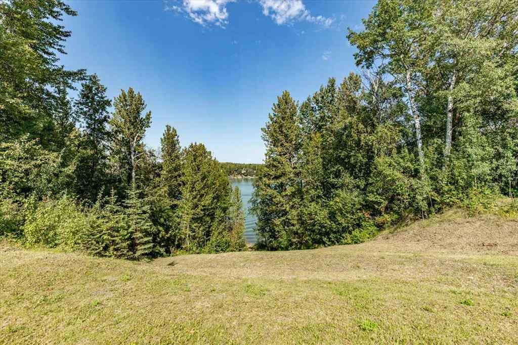 MLS® A2252119 - Unit ##214 271022 Twp Rd 480   in Curilane Beach Rural Wetaskiwin No. 10, County of, Residential