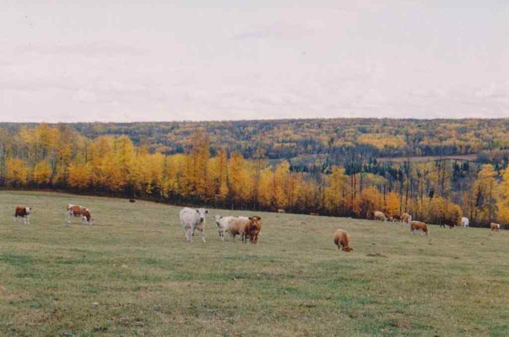 MLS® A2252161 -  642079 Range Road 231   in NONE Rural Athabasca County, Residential