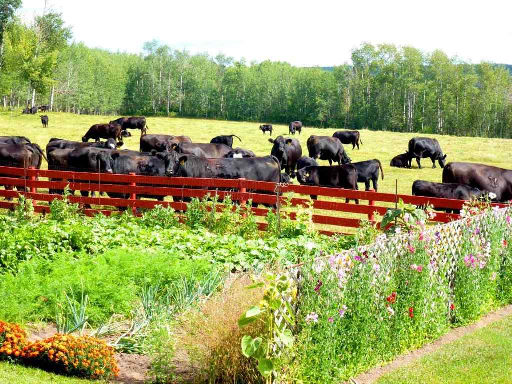 MLS® A2252161 -  642079 Range Road 231   in NONE Rural Athabasca County, Residential