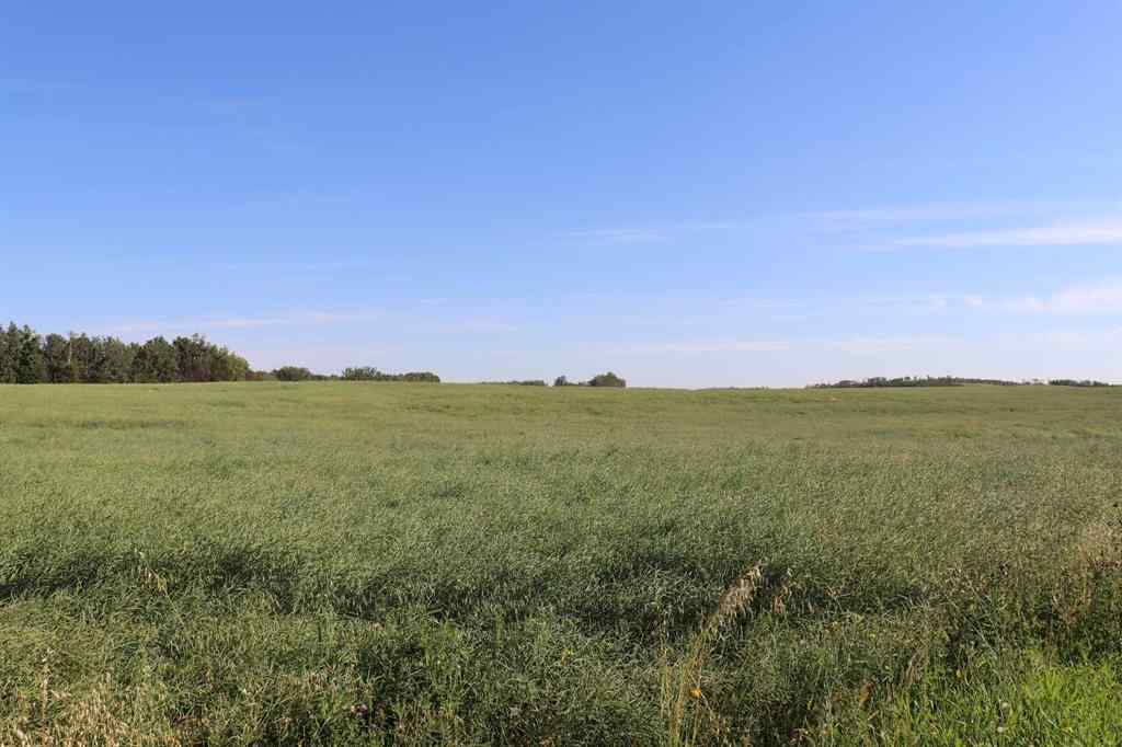 MLS® A2252169 - On Township Road 421   in NONE Rural Camrose County, Agri-Business