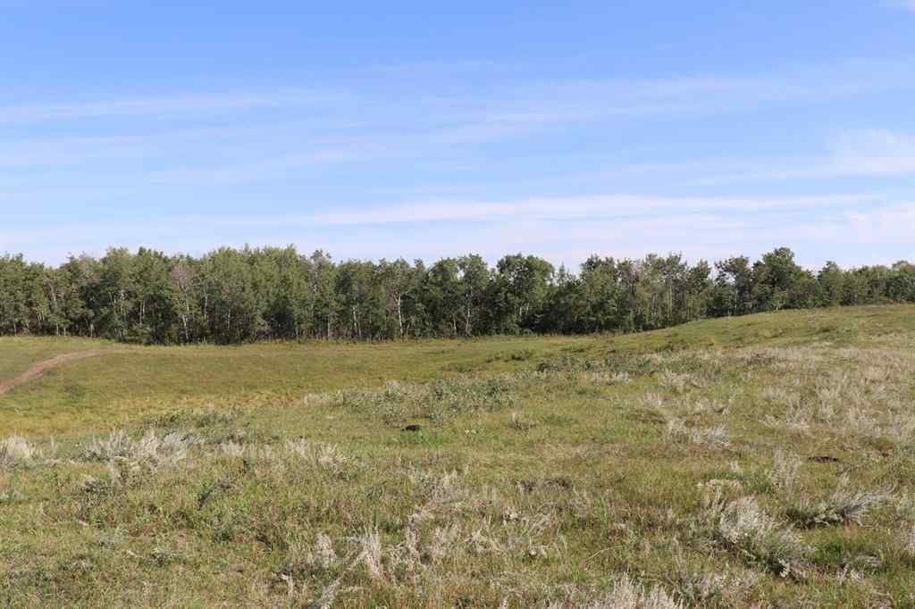 MLS® A2252178 - On Range Road 213   in NONE Rural Camrose County, Agri-Business
