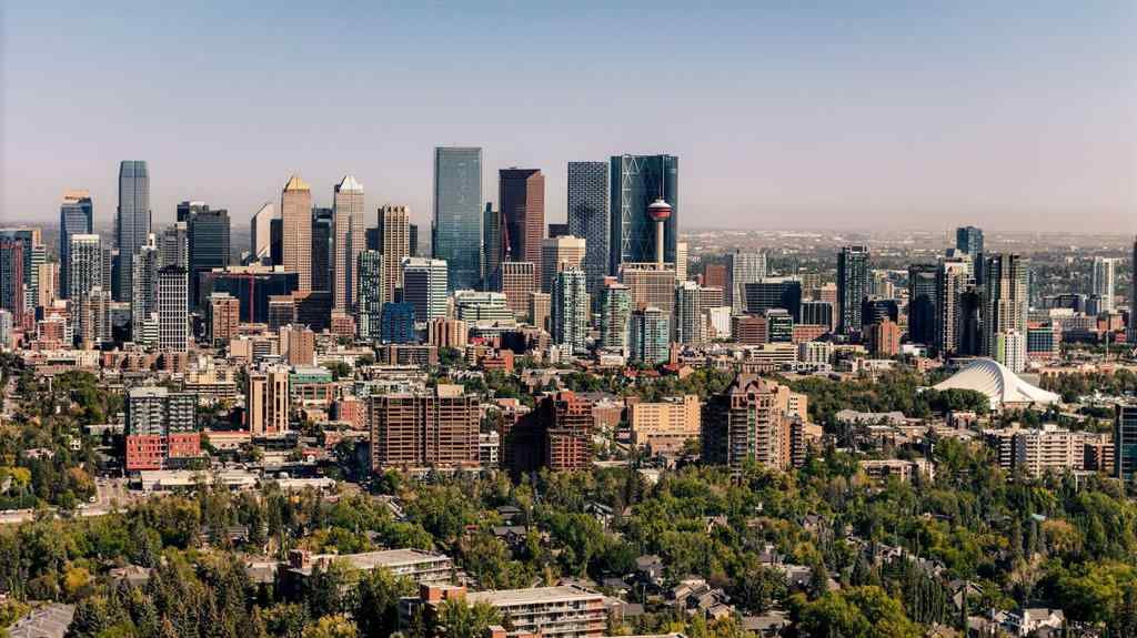 MLS® A2252201 - 302 38 Avenue SW in Elbow Park Calgary, Land