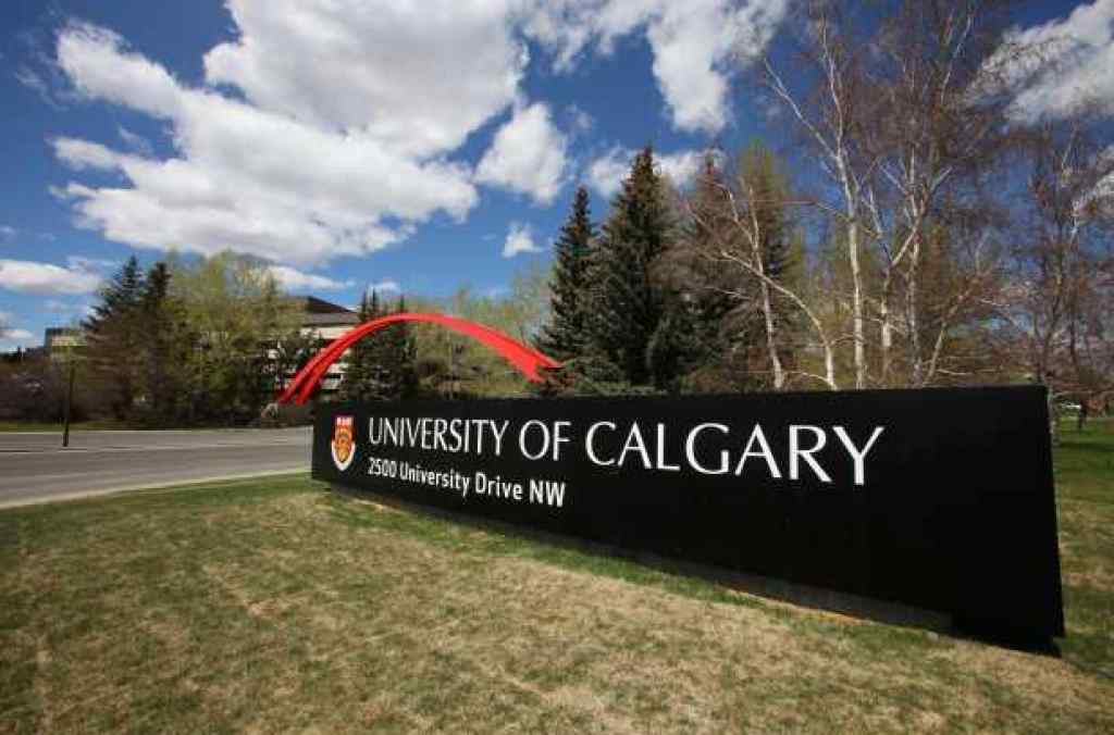 MLS® A2252209 - 2528 17A Street NW in Capitol Hill Calgary, Residential