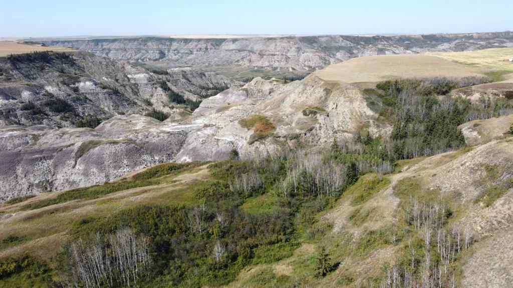 MLS® A2252256 - 340044 Range Road 215   in NONE Rural Starland County, Residential