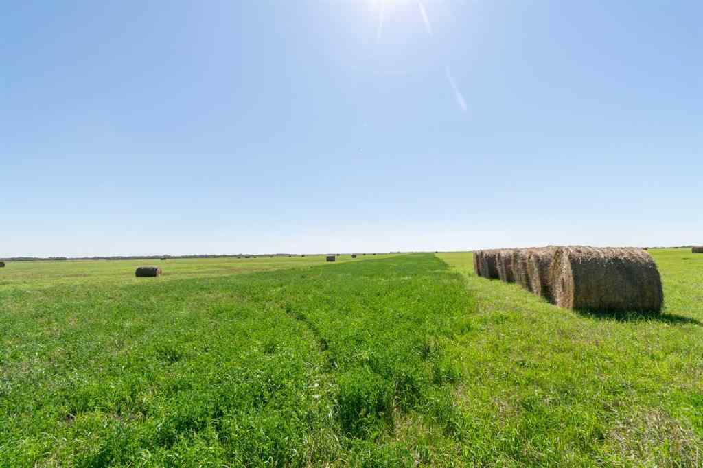 MLS® A2252267 - 13139 TWP Rd. 395   in NONE Rural Stettler No. 6, County of, Residential