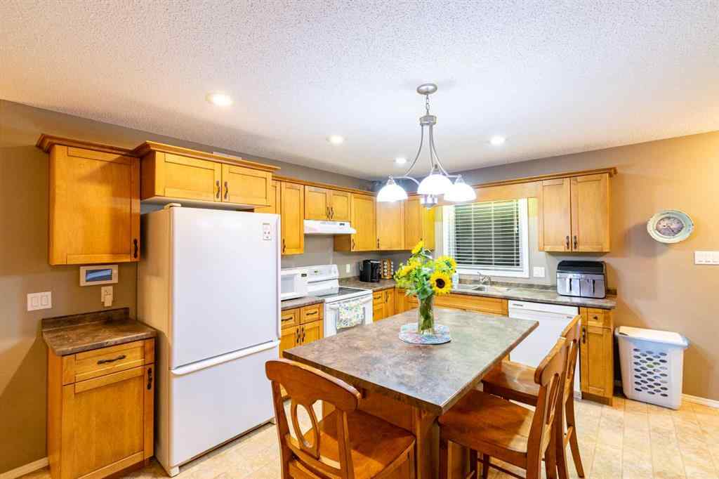 MLS® A2252267 - 13139 TWP Rd. 395   in NONE Rural Stettler No. 6, County of, Residential