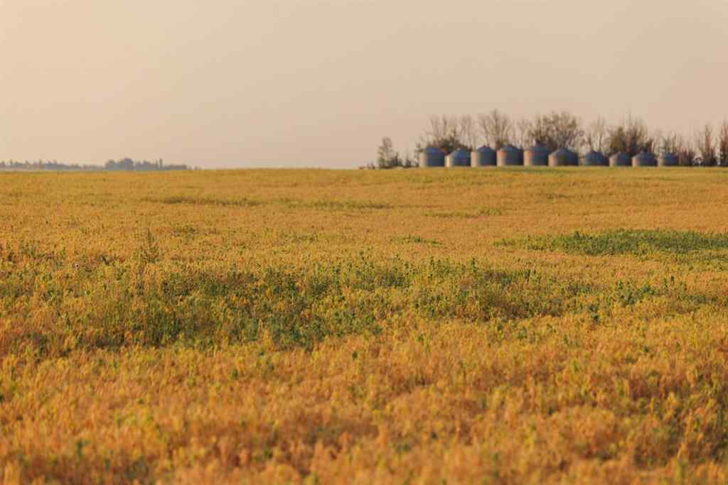 MLS® A2252287 - Parcel 9 Range Road 271 just south of Highway 9   in NONE Rural Rocky View County, Land