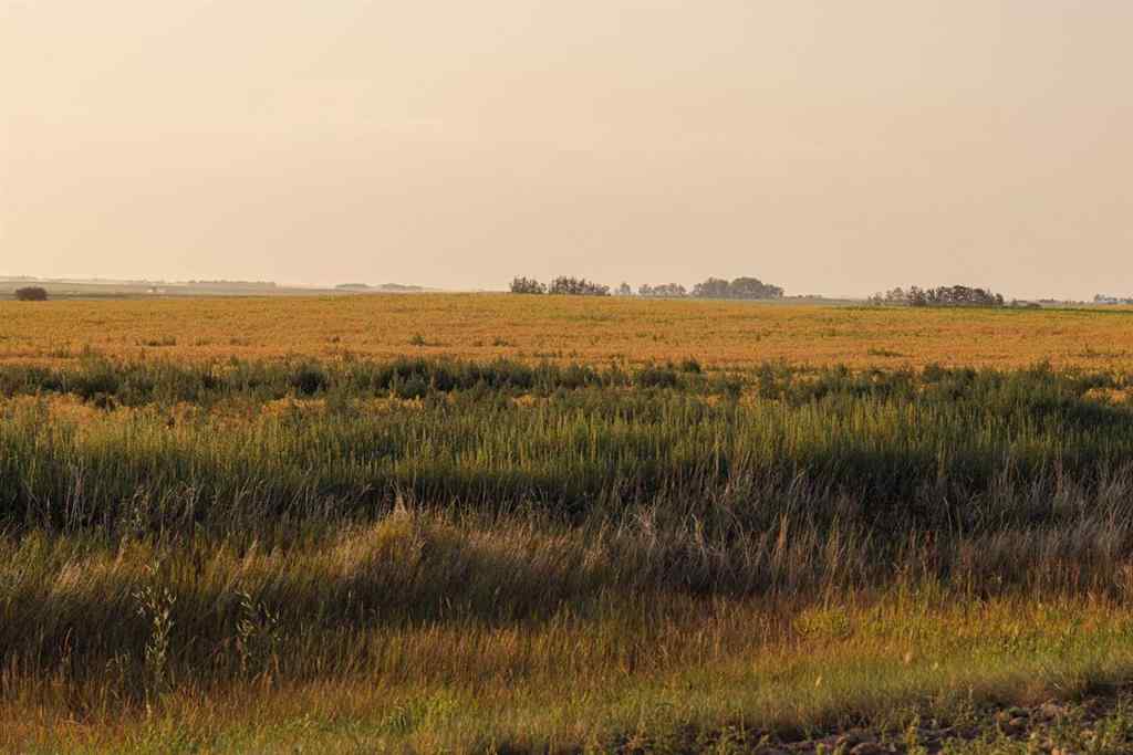 MLS® A2252287 - Parcel 9 Range Road 271 just south of Highway 9   in NONE Rural Rocky View County, Land