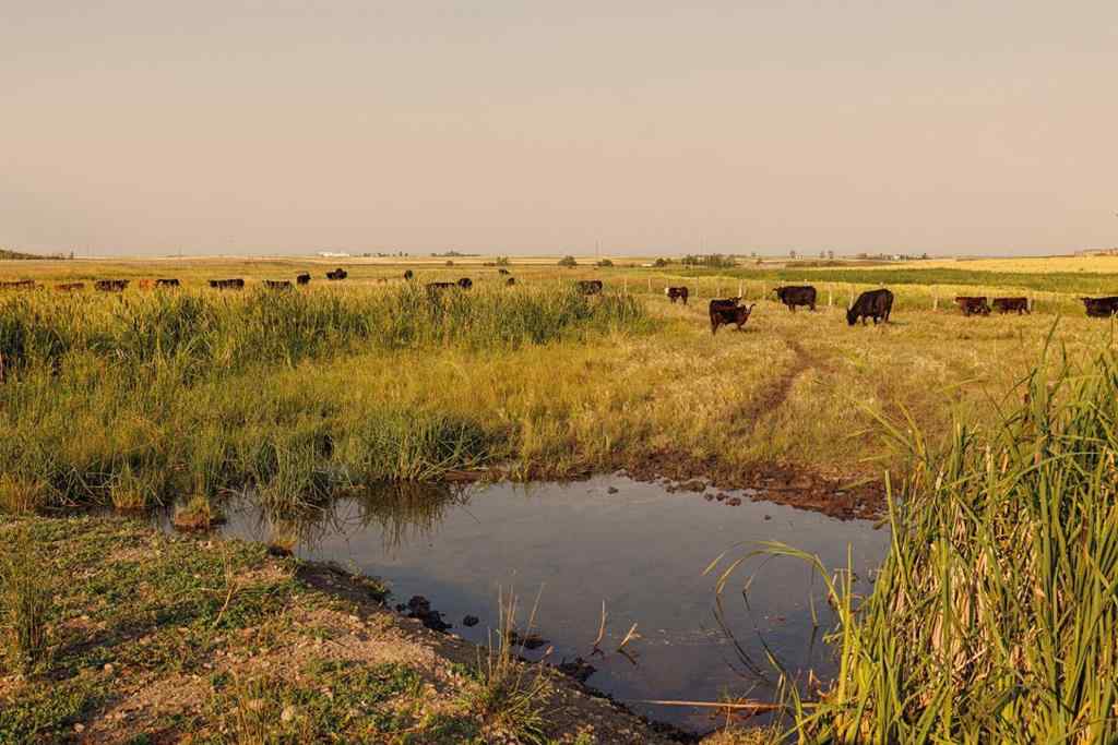 MLS® A2252287 - Parcel 9 Range Road 271 just south of Highway 9   in NONE Rural Rocky View County, Land