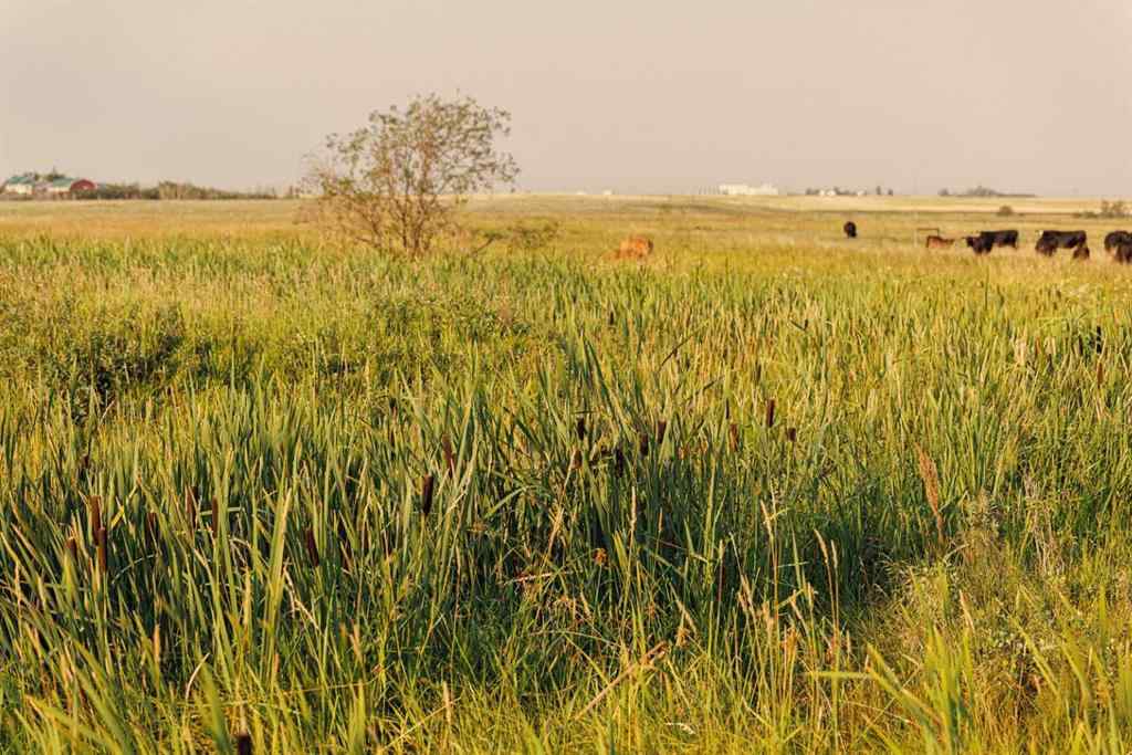 MLS® A2252287 - Parcel 9 Range Road 271 just south of Highway 9   in NONE Rural Rocky View County, Land
