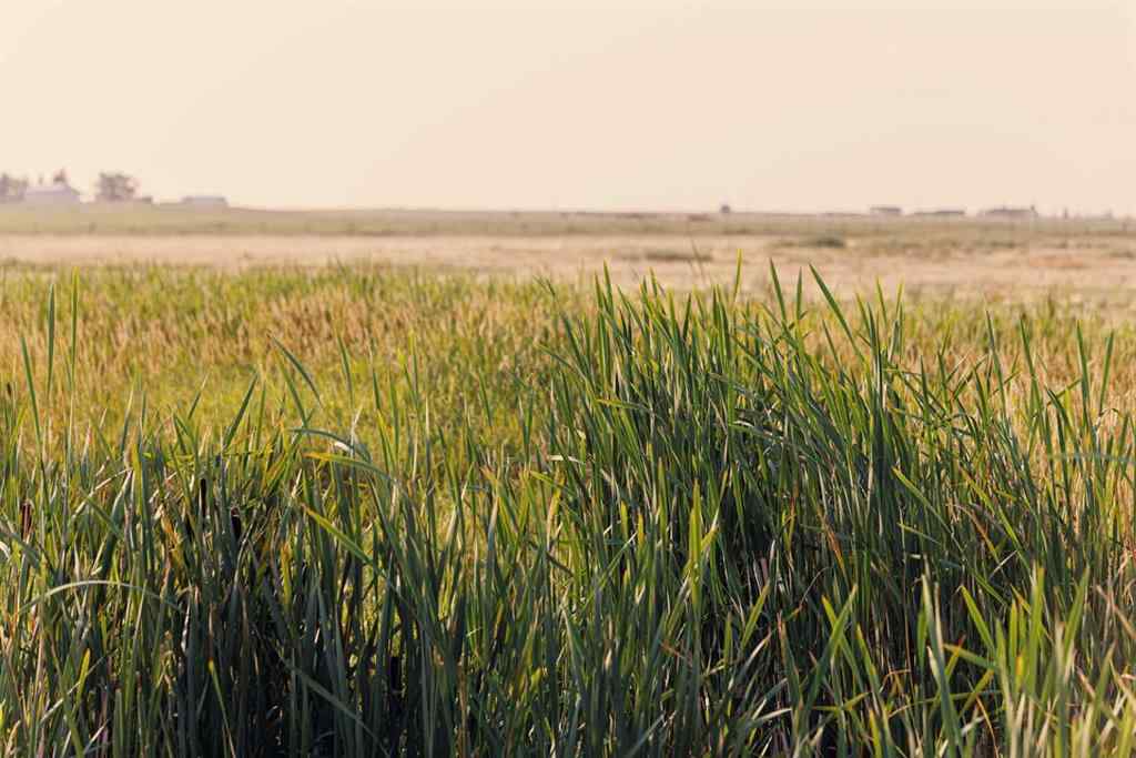 MLS® A2252287 - Parcel 9 Range Road 271 just south of Highway 9   in NONE Rural Rocky View County, Land