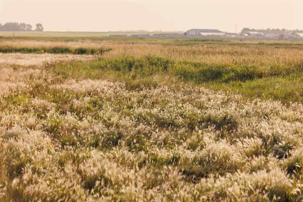 MLS® A2252287 - Parcel 9 Range Road 271 just south of Highway 9   in NONE Rural Rocky View County, Land