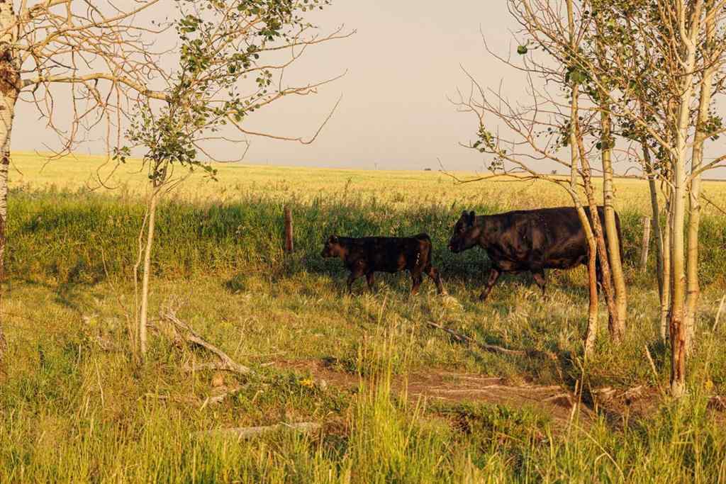 MLS® A2252297 - Parcel 7 Range Road 271 just south of Highway 9.   in NONE Rural Rocky View County, Land