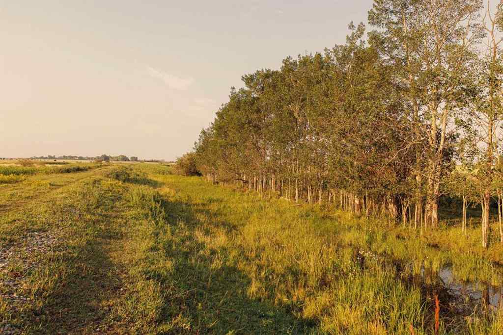 MLS® A2252297 - Parcel 7 Range Road 271 just south of Highway 9.   in NONE Rural Rocky View County, Land