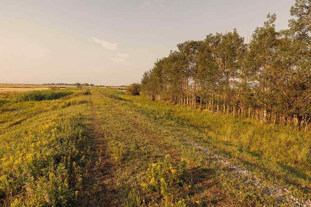MLS® A2252297 - Parcel 7 Range Road 271 just south of Highway 9.   in NONE Rural Rocky View County, Land