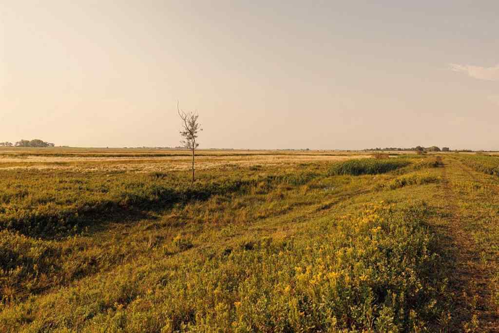 MLS® A2252297 - Parcel 7 Range Road 271 just south of Highway 9.   in NONE Rural Rocky View County, Land