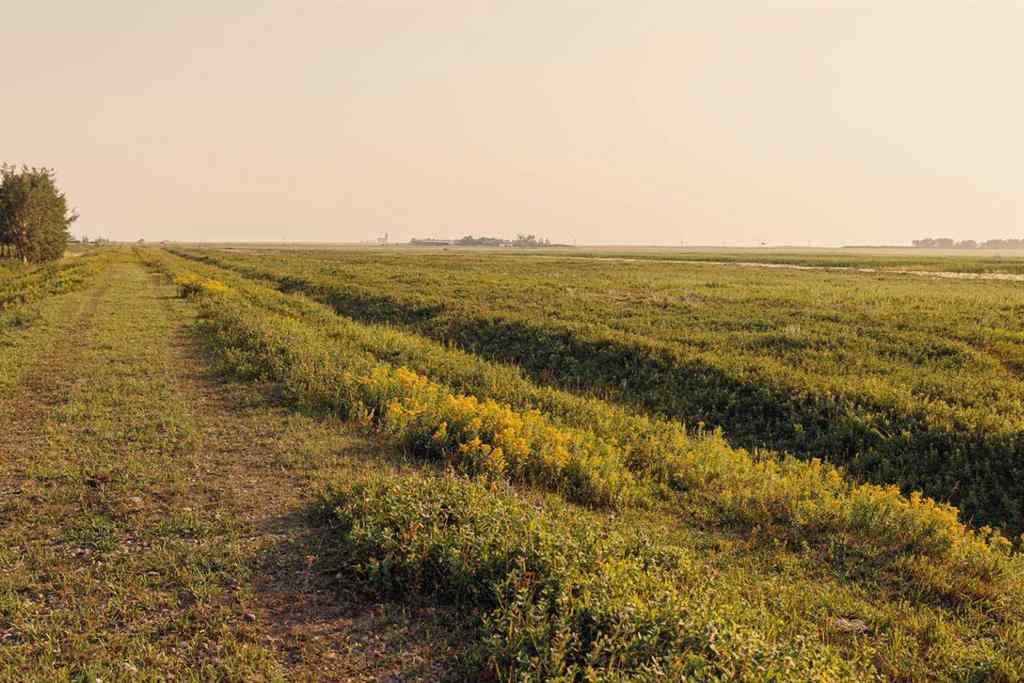 MLS® A2252297 - Parcel 7 Range Road 271 just south of Highway 9.   in NONE Rural Rocky View County, Land