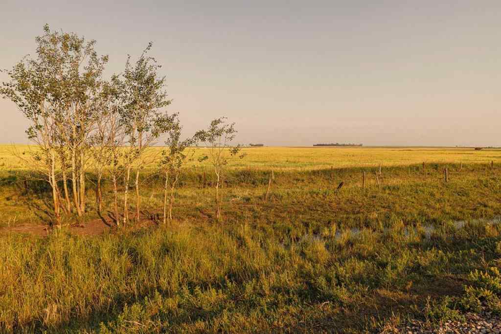 MLS® A2252297 - Parcel 7 Range Road 271 just south of Highway 9.   in NONE Rural Rocky View County, Land